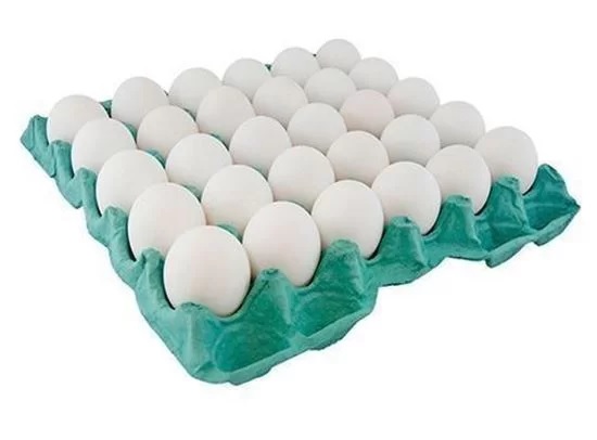 تصویر از تخم مرغ شانه 2 کیلویی
